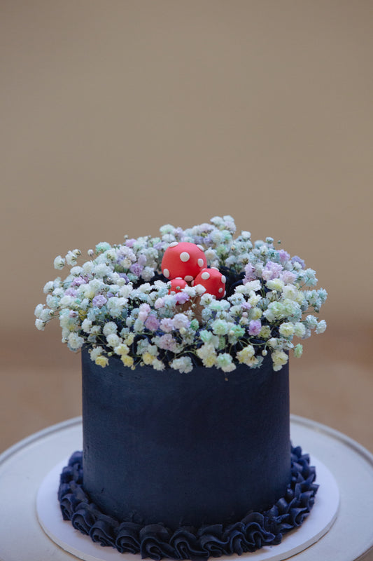 Cake Portfolio 2